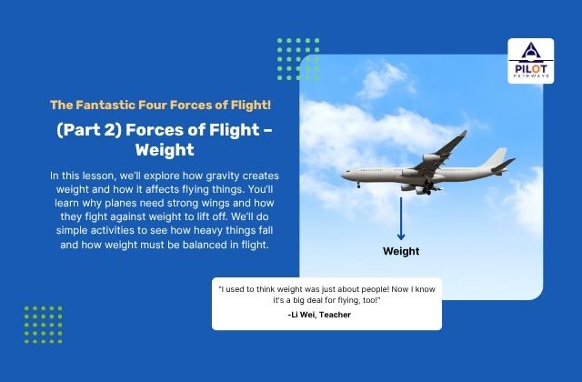 (Part 2) Forces of Flight – Weight
